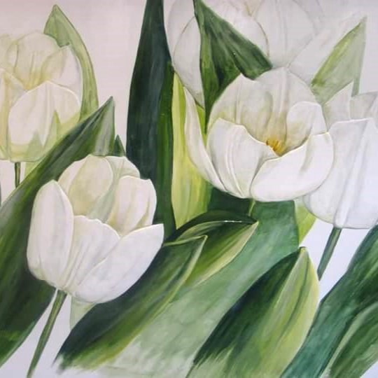 White Tulips